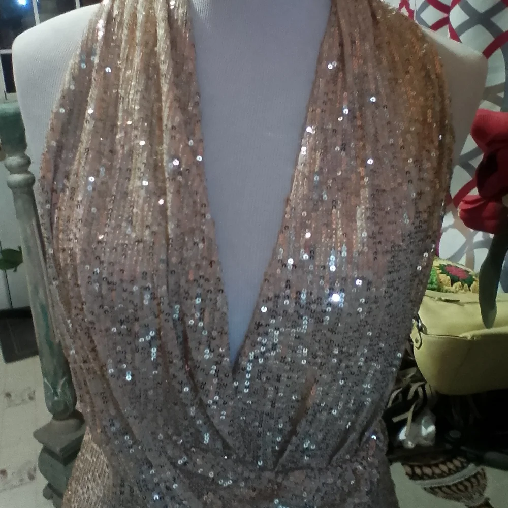Prom/Wedding Dress - Picture 6 of 7